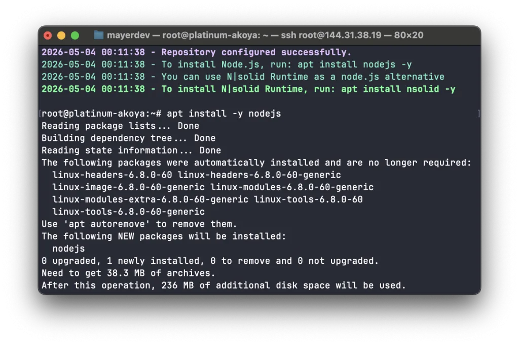 Terminal output of the Node.js 24 installation from NodeSource