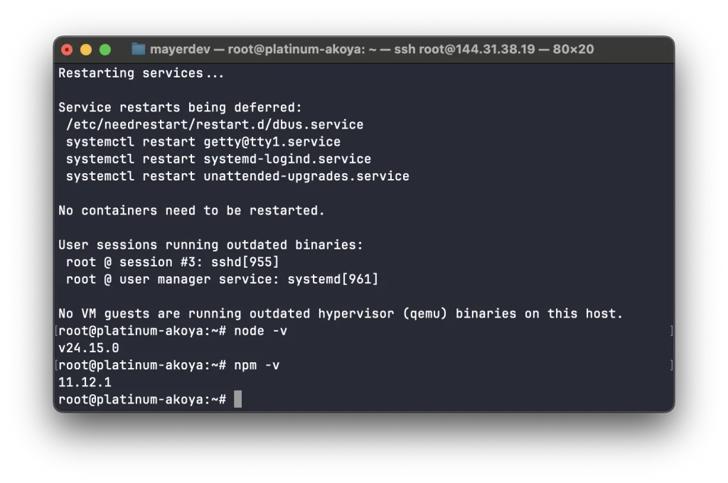 Terminal showing the installed Node.js and npm versions
