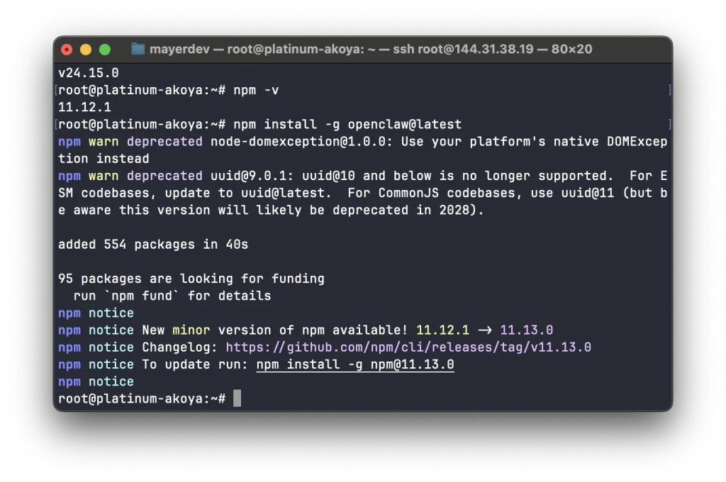 Successful global installation of OpenClaw with npm